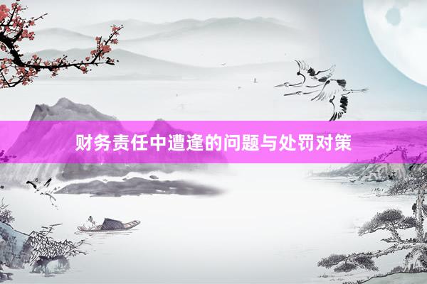 财务责任中遭逢的问题与处罚对策