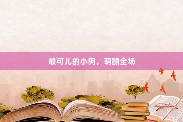 最可儿的小狗，萌翻全场